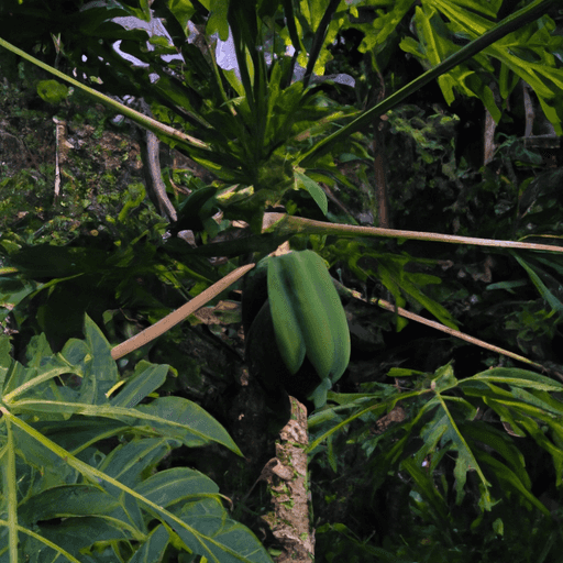 Bagaimana Kalsium Memengaruhi Pertumbuhan Tulang pada Anak dan Dewasa?