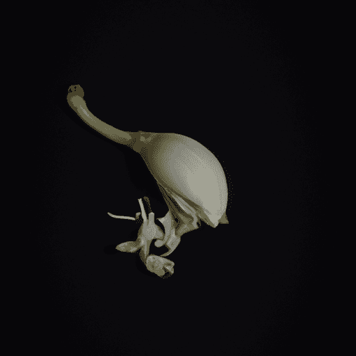 Kurang Kalsium? Ini Dampaknya pada Pertumbuhan Tulang dan Cara Mengatasinya